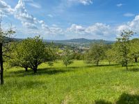 Kirschgarten zur Pacht, Streuobstwiese, Garten, Wiese, Grundstück Bayern - Hersbruck Vorschau