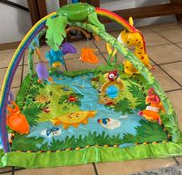 Erlebnisdecke / Spielbogen Fisher Price Nordrhein-Westfalen - Herne Vorschau