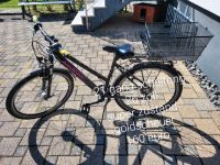 Fahrrad 26 Zoll Baden-Württemberg - Kehl Vorschau