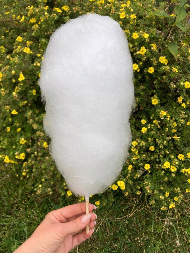 Vermiete Profi Zuckerwattemaschine in Lohmen