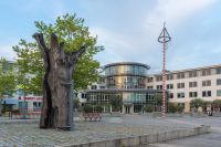 Suche Wohnung in Ludwigsfelde Brandenburg - Königs Wusterhausen Vorschau