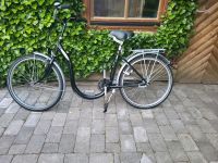 Fahrrad  tiefer Einstieg Niedersachsen - Moormerland Vorschau
