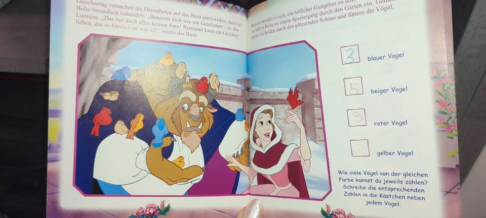 Büchersammlung Bücher Prinzessin Disney in Straßkirchen