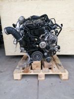 Motor Komplett Nissan Navara 2.3 DCI YS23C276 190PS E6 75TKM Brandenburg - Küstriner Vorland Vorschau