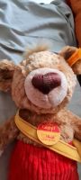 Alte STEIFF TEDDYBÄR  KNOPF 25CM Frankfurt am Main - Bockenheim Vorschau