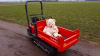 Motorschubkarre, Dumper, Kettendumper, Kubota KC120, mieten, Nordrhein-Westfalen - Euskirchen Vorschau