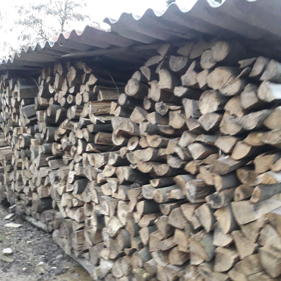 Brennholz  Buche Esche trocken  frisch in Zierenberg