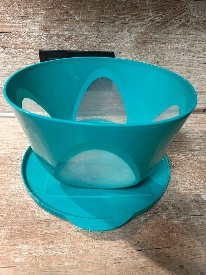 Tupperware Mediterano 4,3l in Freisen