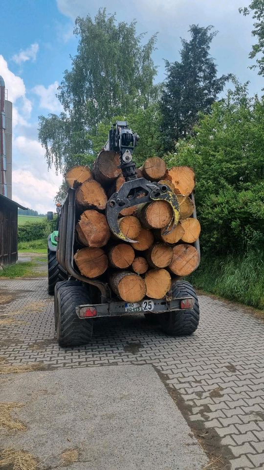 Baumfällung / Transport / Problembäume in Schwarzenbach a d Saale