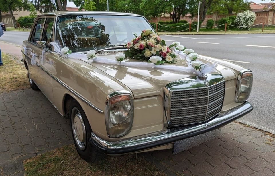 Mercedes Benz Strich 8 Oldtimer & Hochzeitsauto mieten in Berlin in Berlin