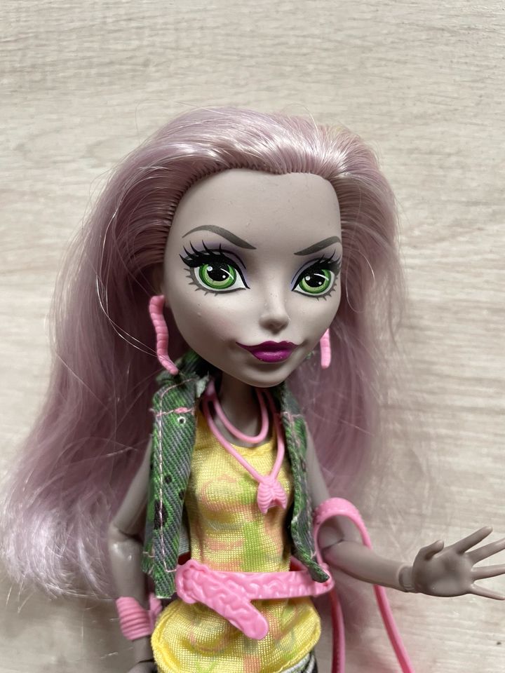 Monster high Puppen Moanica d’kay in Bad Muskau