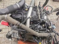 Motor Renault Master 2.3d M9T 706 702 170PS BITURBO KOMPLETT Sachsen - Torgau Vorschau