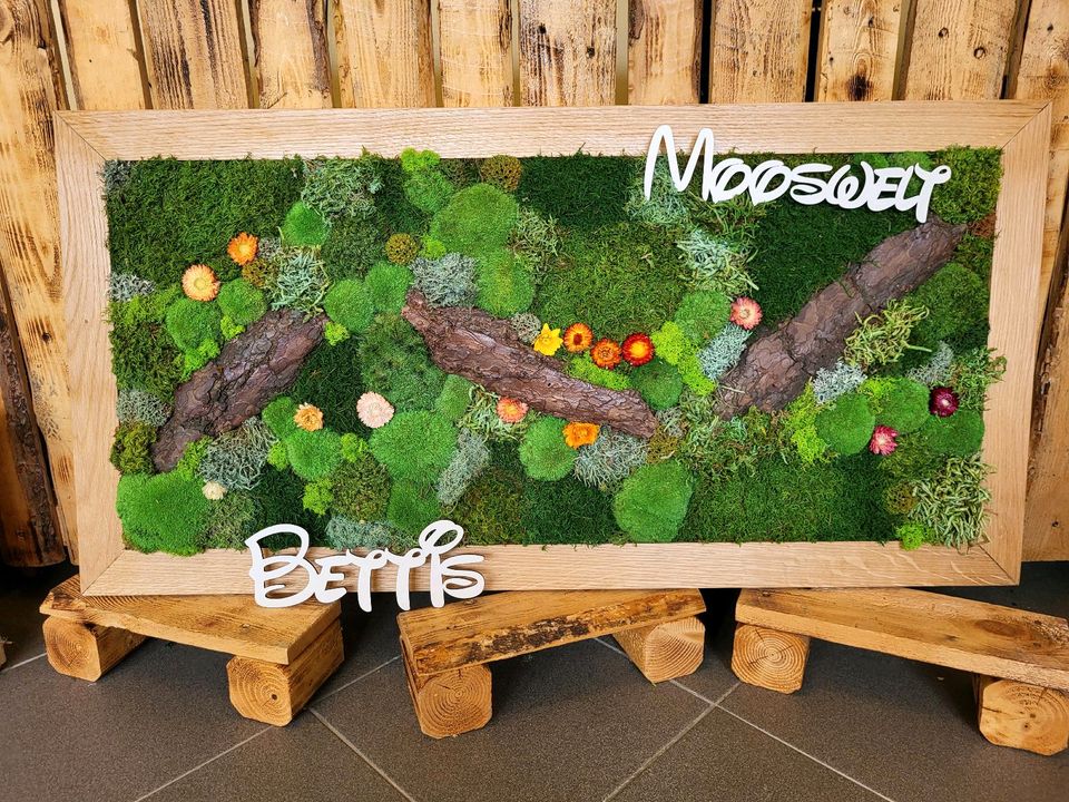 ❤️ ab 109€ Moos Moosbild Bollenmoos Kugelmoos Handarbeit in Saarbrücken