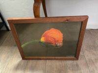 Wandbild | Anne Geddes | Baby | Blume | Bilderrahmen Hessen - Groß-Gerau Vorschau