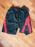 Jordan Baketball-Shorts Bayern - Schönberg Vorschau
