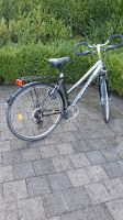 Fahrrad neuwertig Nordrhein-Westfalen - Altenbeken Vorschau