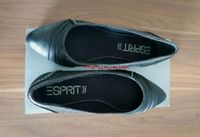 Esprit Ballerinas Rheinland-Pfalz - Konz Vorschau