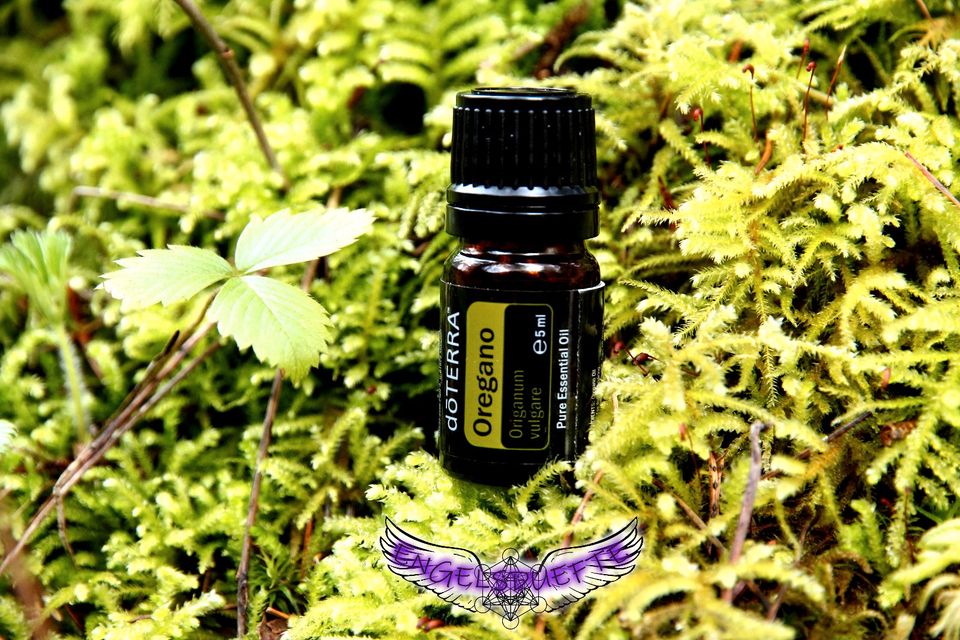 DoTerra ätherische Öle geist körper seele Gesundheit Küche in Herrenberg