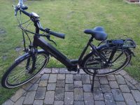 E Bike aus Holland Nordrhein-Westfalen - Steinfurt Vorschau