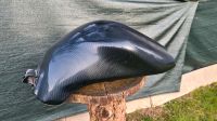 Yamaha FZS 1000 Fazer Tank Carbon Nordrhein-Westfalen - Langenfeld Vorschau