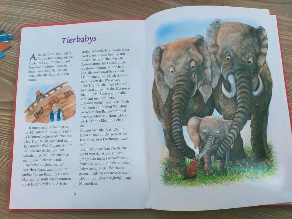 Kuschelbär Kinderbuch, die Tiere von der Arche Noah in Dernbach