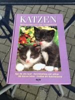 Buch „Katzen- Spielgefährten auf Samtpfoten“ von Joachim Grau Rheinland-Pfalz - Bad Neuenahr-Ahrweiler Vorschau