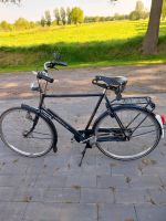 Gazelle Juweel/ Herrenrad/ Fahrrad Niedersachsen - Hesel Vorschau