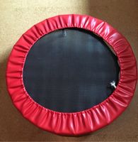 Mini Trampolin Kinder 90 cm Bayern - Holzheim a.d. Donau Vorschau