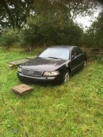 Audi A8 4.2 Schleswig-Holstein - Groß Rheide Vorschau