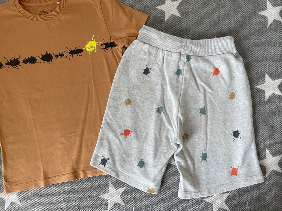 Esprit Set T-Shirt + kurze Hose Gr. 128/134 Käfer in Bruckberg bei Landshut