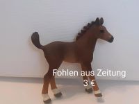 Schleich Fohlen Thüringen - Windischholzhausen Vorschau