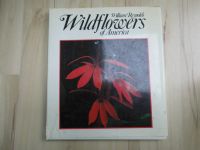 Wildflowers of America – William Reynolds – 1987 – englisch Nordrhein-Westfalen - Wesel Vorschau