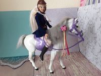 Langhaar Reiter Barbie mit Dress u Pferd Sattel Zaumzeug Baden-Württemberg - Laudenbach Vorschau