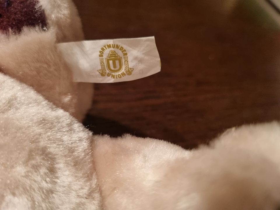 Plüschfigur, Sammelfigur Teddybär - Dortmunder Union - Werbung in Essen Freisenbruch