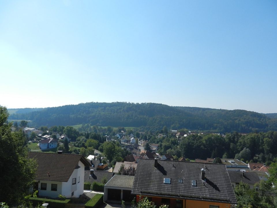 genieße Freiheit Ruhe Natur Sonne und den Ausblick von ganz oben in Sulzbach-Laufen