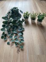 Ikea Kunstblumen, Kunstpflanzen, Topfpflanzen Pankow - Weissensee Vorschau