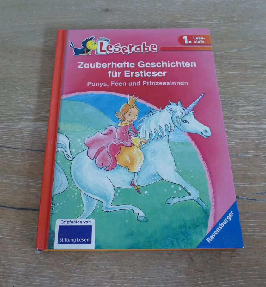 Kinder Buch Leserabe Stufe 1 Zauberhafte Geschichten für Erstlese in Gießen