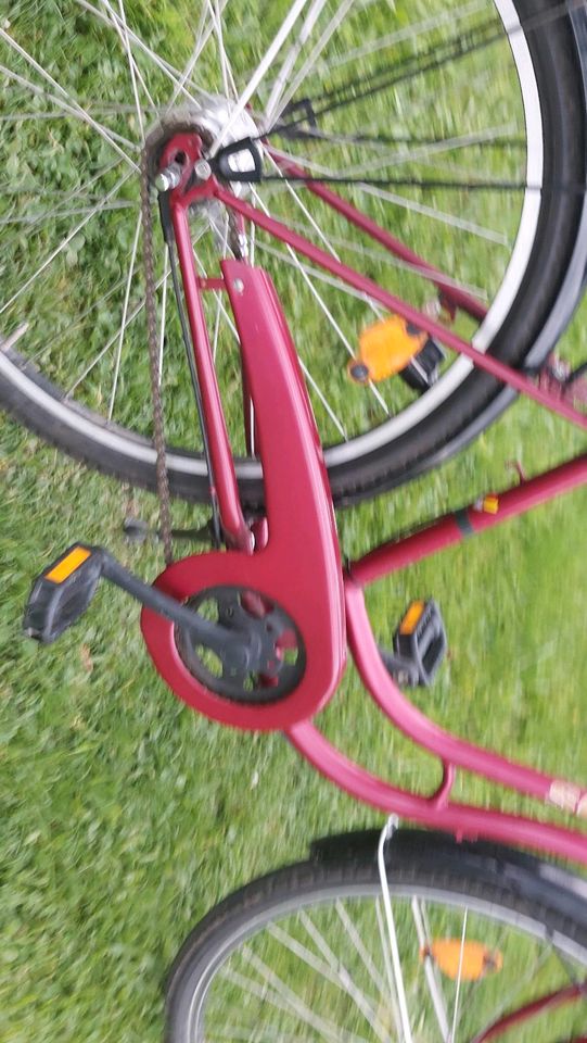 Damen Fahrrad von SCHAUFF in Horben