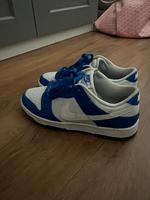 Nike Dunks unisex Hessen - Offenbach Vorschau