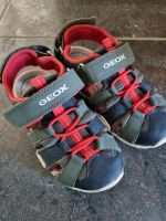 Geox Sandalen Größe 26 Nordrhein-Westfalen - Gladbeck Vorschau