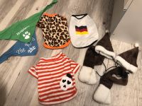 Hundepullover * Hundemäntel * Hundeshirts * Gr. XS / Chihuahua Köln - Ehrenfeld Vorschau