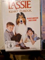 2. Filme Lassie und der schwarze Hengst Bayern - Gaimersheim Vorschau