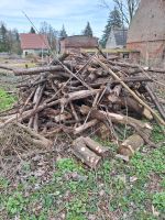 Brennholz zu verschenken Brandenburg - Werneuchen Vorschau
