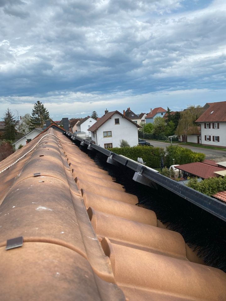 Vogel- Taubenabwehr für ihre PV- Anlage in Harthausen