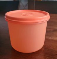 TUPPERWARE Kühlschrank 550ml Sommer Panorama Julchen Küchen-Mini Rheinland-Pfalz - Mainz Vorschau