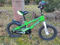 Kawasaki Kinder Fahrrad grün Abnehmbare Stützrädern Dresden - Klotzsche Vorschau