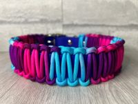 2.Wahl Biothane Halsband mit Paracord 49-57cm Rheinland-Pfalz - Frankenthal (Pfalz) Vorschau