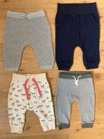 H&M Noppies Topomini Hosen Jogginghosen Strickhose Schleswig-Holstein - Bad Bramstedt Vorschau