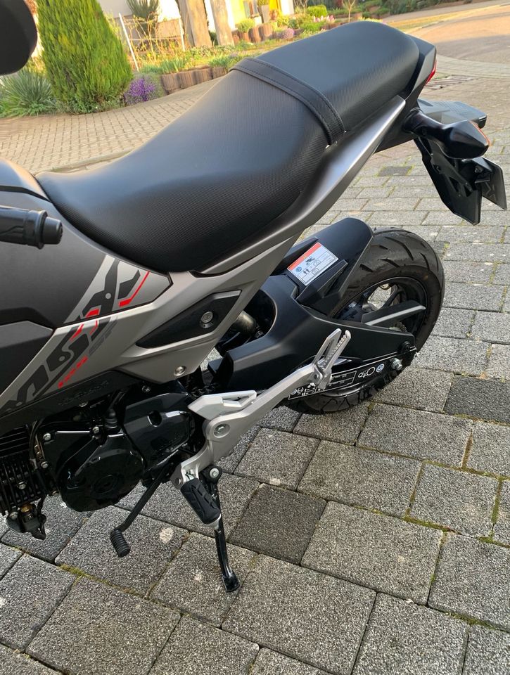 HONDA MSX 125 AJ Mat Axis Grey Metallic TOP-Zustand! Wie NEU in Leingarten