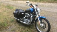 Harley Davidson Sportster XL883C 5HD Rheinland-Pfalz - Budenheim Vorschau